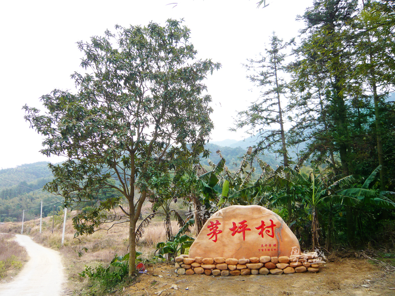 吨位村牌石石灵村